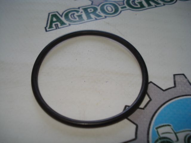 N208245 Сальник