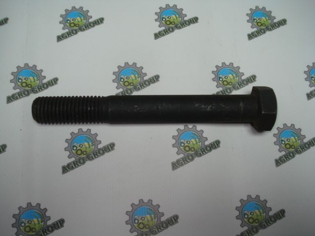 N263489 Гвинт з головкою