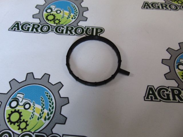 R528498 Сальник