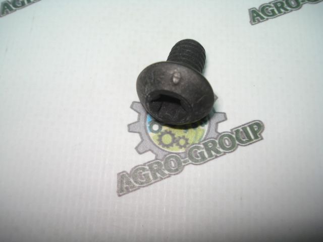 R121195 (R112975/19H3690) Болт