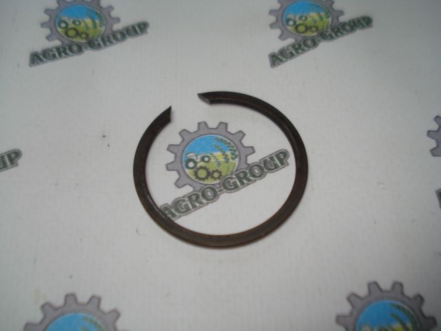 R48749 Пружинне кільце