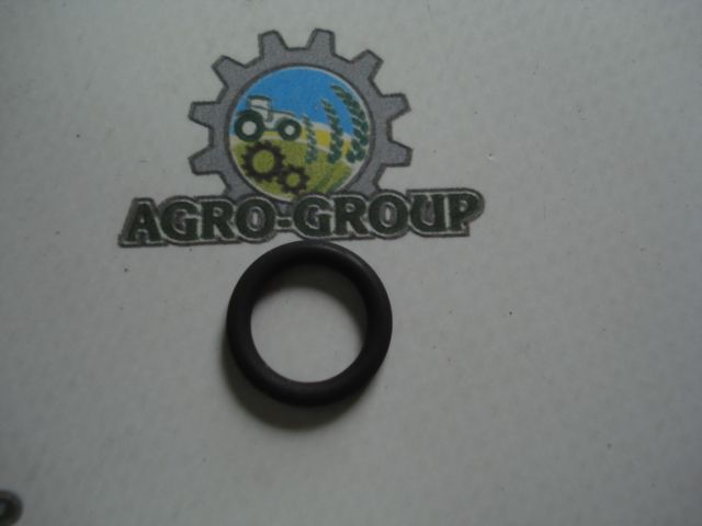 R65397 Сальник