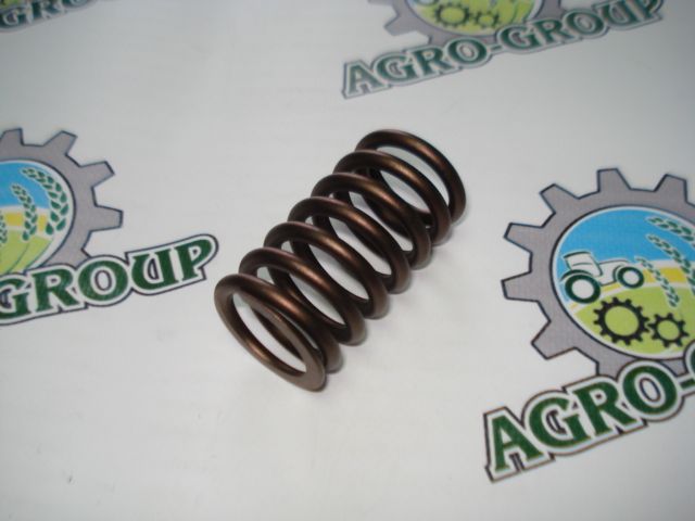 R91822 Пружина