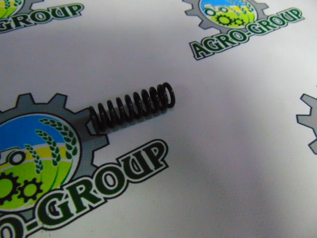 R213374 Пружина стиснення