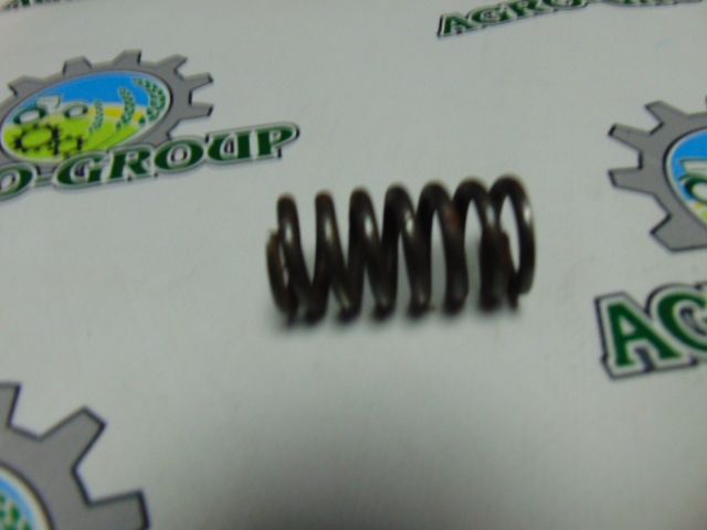 R213373 Пружина стиснення