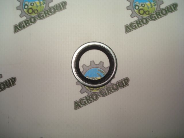 DZ107007 Сальнік