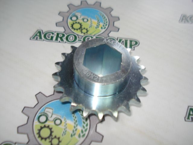 AA44311 Зірочка